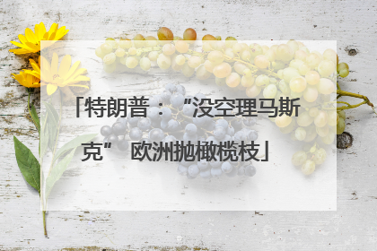 特朗普：“没空理马斯克” 欧洲抛橄榄枝