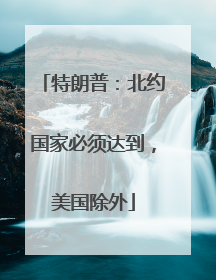 特朗普：北约国家必须达到，美国除外