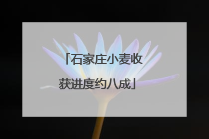 石家庄小麦收获进度约八成