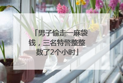 男子偷走一麻袋钱，三名特警整整数了2个小时