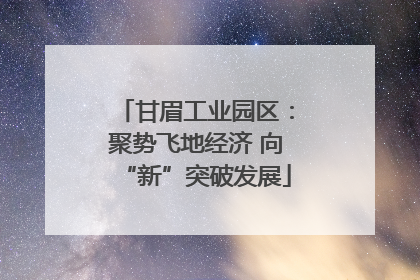 甘眉工业园区：聚势飞地经济 向“新”突破发展