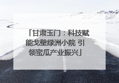 甘肃玉门：科技赋能戈壁绿洲小院 引领蜜瓜产业振兴