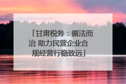 甘肃税务：循法而治 助力民营企业合规经营行稳致远