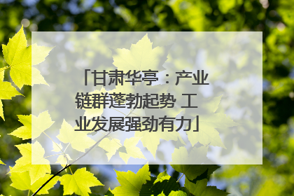 甘肃华亭：产业链群蓬勃起势 工业发展强劲有力