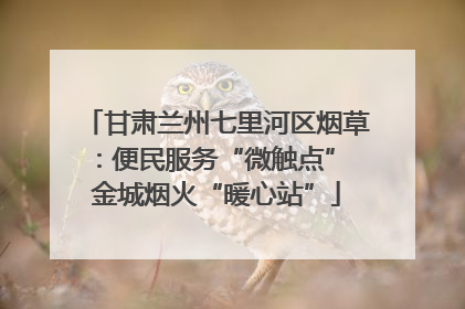 甘肃兰州七里河区烟草：便民服务“微触点” 金城烟火“暖心站”