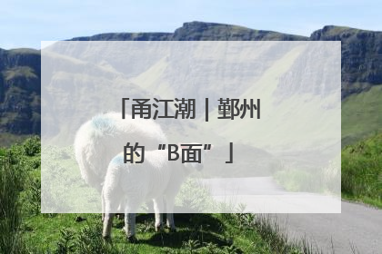 甬江潮｜鄞州的“B面”