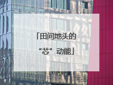 田间地头的“芯”动能