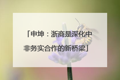 申坤：浙商是深化中非务实合作的新桥梁