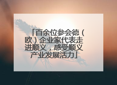 百余位参会德（欧）企业家代表走进顺义，感受顺义产业发展活力