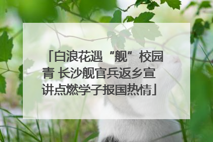 白浪花遇“舰”校园青 长沙舰官兵返乡宣讲点燃学子报国热情