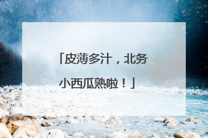 皮薄多汁，北务小西瓜熟啦！