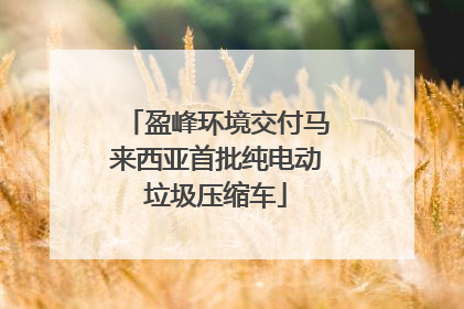 盈峰环境交付马来西亚首批纯电动垃圾压缩车