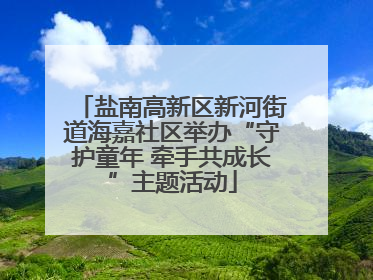 盐南高新区新河街道海嘉社区举办“守护童年 牵手共成长”主题活动