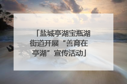 盐城亭湖宝瓶湖街道开展“善育在亭湖”宣传活动