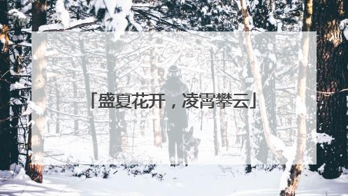 盛夏花开，凌霄攀云