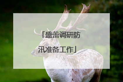 盛蕾调研防汛准备工作