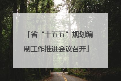省“十五五”规划编制工作推进会议召开