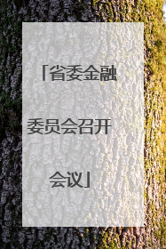 省委金融委员会召开会议