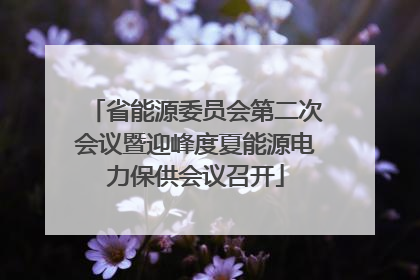 省能源委员会第二次会议暨迎峰度夏能源电力保供会议召开