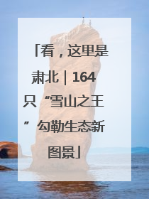 看，这里是肃北｜164只“雪山之王”勾勒生态新图景