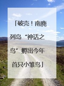 破壳！南麂列岛“神话之鸟”孵出今年首只小雏鸟
