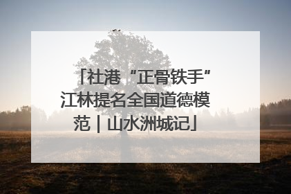 社港“正骨铁手”江林提名全国道德模范｜山水洲城记