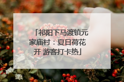 祁阳下马渡镇元家庙村：夏日荷花开 游客打卡热