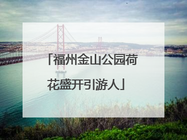 福州金山公园荷花盛开引游人