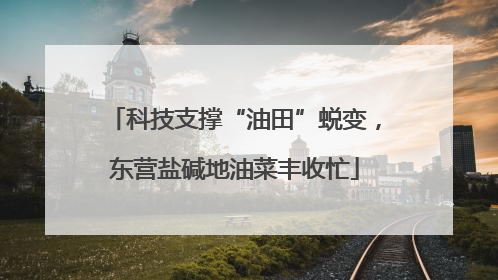 科技支撑“油田”蜕变，东营盐碱地油菜丰收忙