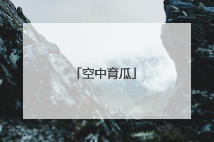 空中育瓜