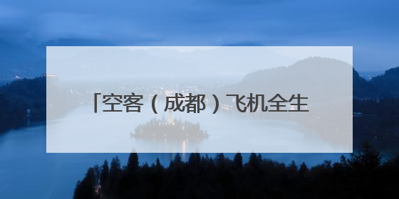 空客（成都）飞机全生命周期服务有限公司总经理布莱恩·阿格纽：成都航空产业生态完备，营商环境优势显著