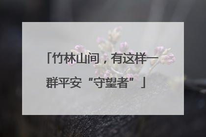 竹林山间，有这样一群平安“守望者”
