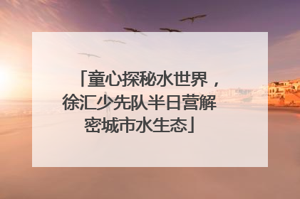 童心探秘水世界，徐汇少先队半日营解密城市水生态
