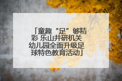 童趣“足”够精彩 乐山井研机关幼儿园全面升级足球特色教育活动