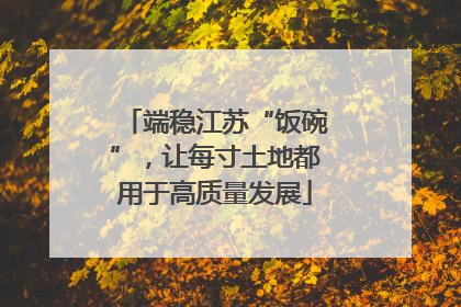 端稳江苏“饭碗”，让每寸土地都用于高质量发展