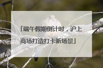 端午假期倒计时，沪上商场打造打卡新场景