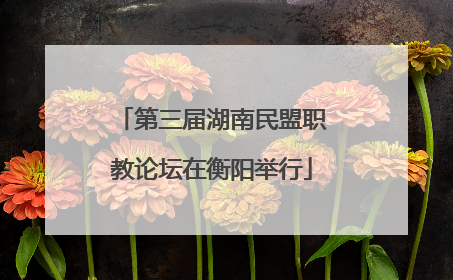 第三届湖南民盟职教论坛在衡阳举行