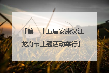 第二十五届安康汉江龙舟节主题活动举行