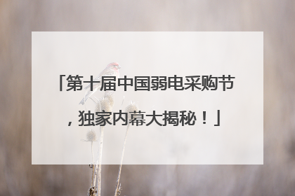 第十届中国弱电采购节，独家内幕大揭秘！