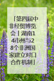 第四届中非经贸博览会丨湖南14市州与28个非洲国家建立对口合作机制