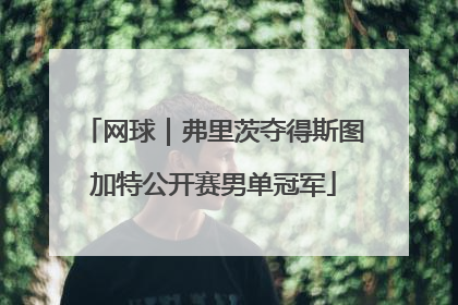 网球｜弗里茨夺得斯图加特公开赛男单冠军
