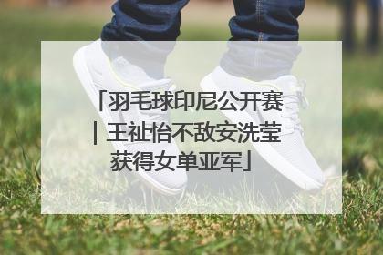羽毛球印尼公开赛｜王祉怡不敌安洗莹 获得女单亚军