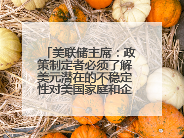 美联储主席：政策制定者必须了解美元潜在的不稳定性对美国家庭和企业的影响