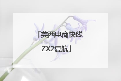 美西电商快线ZX2复航