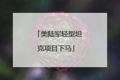 美陆军轻型坦克项目下马