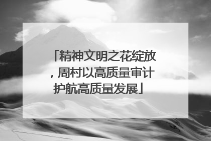 精神文明之花绽放，周村以高质量审计护航高质量发展