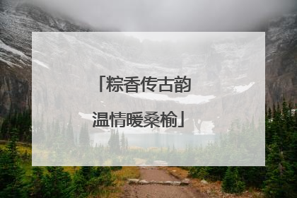粽香传古韵 温情暖桑榆