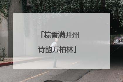 粽香满并州 诗韵万柏林