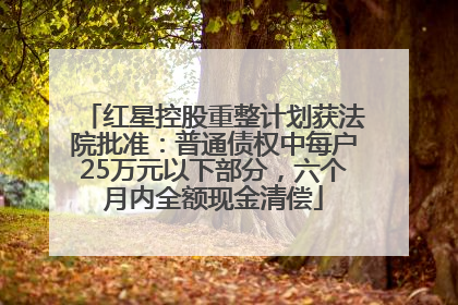 红星控股重整计划获法院批准：普通债权中每户25万元以下部分，六个月内全额现金清偿