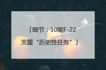 细节：10架F-22支援“历史性任务”